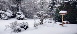 Wintergarten